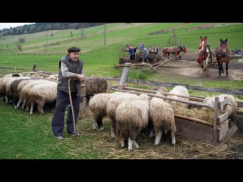Видео: Как выглядит жизнь в крошечной деревне? | ДОКУМЕНТАЛЬНЫЙ ФИЛЬМ