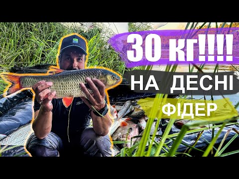 Видео: ⚠️Крута рибалка на Десні👉Деснянські монстри ламають фідера❗️❗️❗️ 30 кг риби за день😱