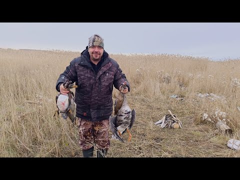 Видео: Удача на охоте! Охота в Омской области 2025!