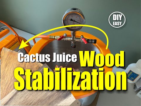 Видео: Как легко стабилизировать древесину с помощью вакуума с помощью сока кактуса