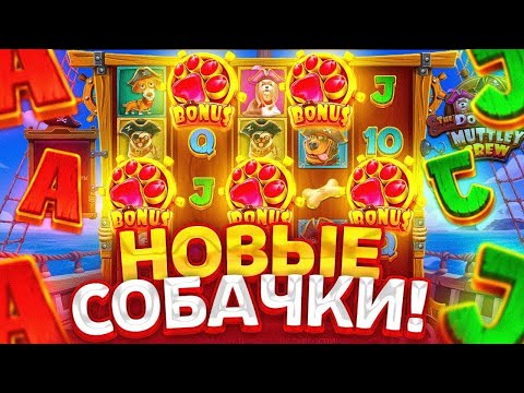 Видео: THE DOG HOUSE MUTTLE CREW ДАЛ Х600 В БОНУСКЕ! ПОПРОБОВАЛ ВСЕХ СОБАК И НЕ ПОЖАЛЕЛ! DUDA ЗАНОСЫ НЕДЕЛИ