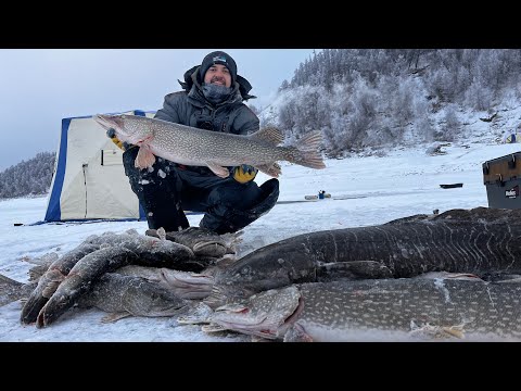 Видео: Я УСТАЛ ЛОВИТЬ ЭТИХ МОНСТРОВ. С меня ХВАТИТ!!!