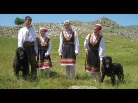 Видео: Документарен филм „Караман гордоста на македонските сточари“