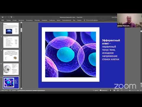 Видео: Теория построения движений Н.А.Бернштейна в 21 веке: Елена Максимова в "Интересном понедельнике"