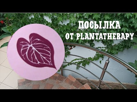 Видео: Моя первая посылка от Plantatherapy