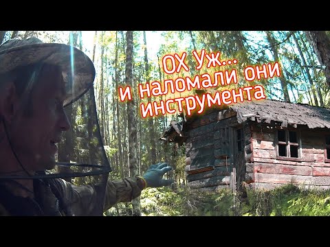 Видео: КОП НА ЗАБРОШЕННОМ ПОСЕЛЕНИИ ФИННОВ | 80 ЛЕТ НАЗАД