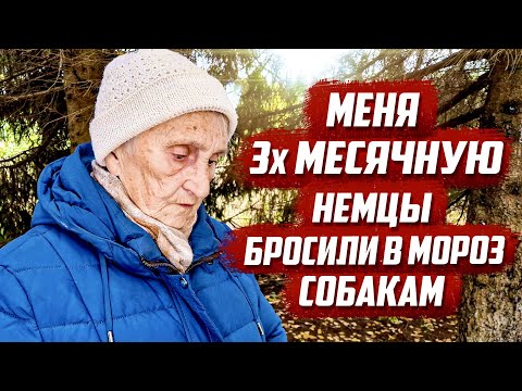 Видео: Шокирующие воспоминания | Тверская обл, Оленинский р/н д.Урдом