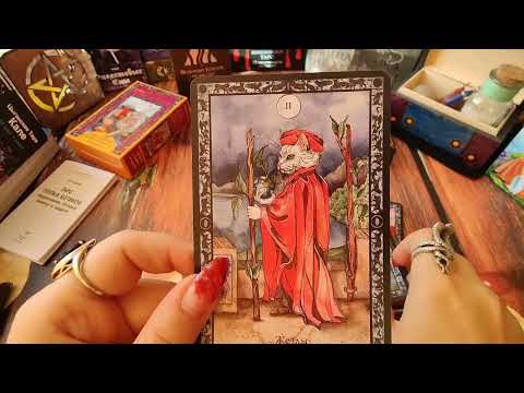 Видео: Обзор на таро двух колод. Таро теплых котиков. Колдовское таро.