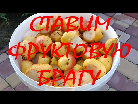 Видео: Фруктовая брага, постановка.