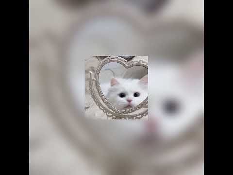 Видео: танцы под луной speed up