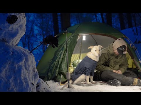 Видео: Поход в заснеженный лес с моей собакой – приключение в зимней стране чудес. Outask. Outdogs Airpad