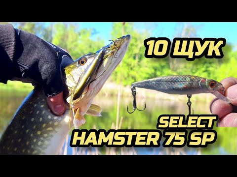 Видео: ✅️ОЦЕ ВОБЛЕР, 10 ЩУК ЗА ТРИ ГОДИНИ🔥💪