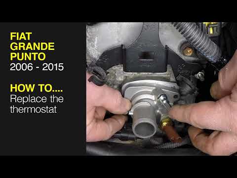 Видео: Как заменить термостат на Fiat Grande Punto 2006–2015 годов выпуска