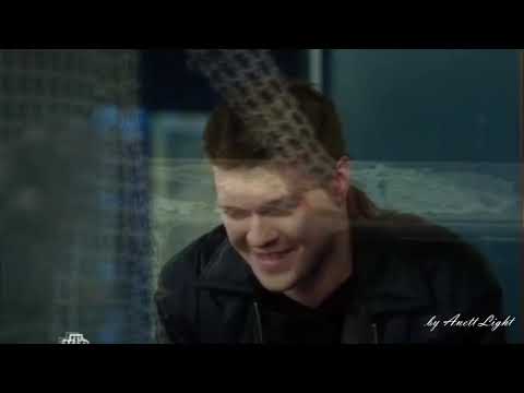 Видео: В зеркалах наступающего дня —  |Кот & Мура|