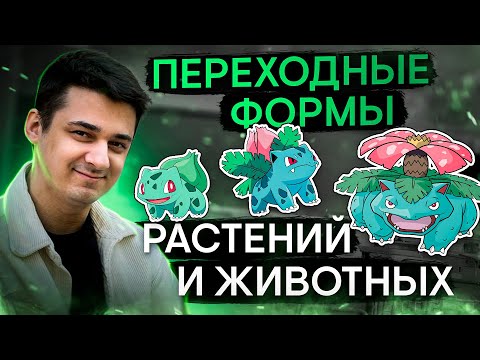 Видео: Переходные формы растений и животных | Биология с Мишей Гис | ЕГЭ 2024 | SMITUP
