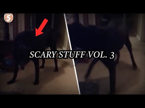 Видео: 5 страшных и странных РЕАЛЬНЫХ историй ужасов, видеоматериалов и встреч. Том 3