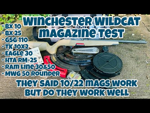 Видео: Тестирование всех моих магазинов Ruger 10/22 в винтовке Winchester Wildcat