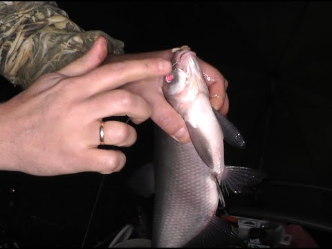 Видео: Как связать рабочую волосяную оснастку  на леща