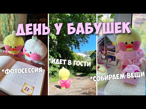 Видео: СОБИРАЮ МИЛКУ В ДОРОГУ! День у бабушек!