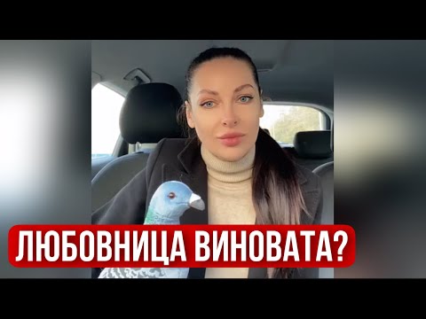 Видео: Если мужик изменил жене, то виновата любовница?