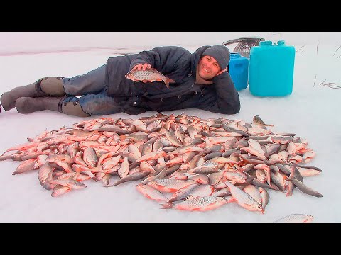 Видео: НОООРМАЛЬНО ПОРЫБАЧИЛИ!!!) Братское водохранилище, закрытие ледового сезона! Подводная съёмка!