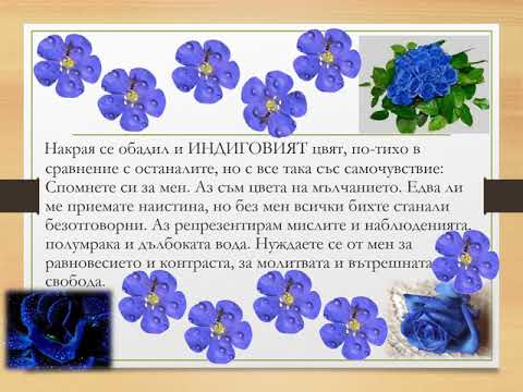 Видео: ПРИКАЗКА ЗА ЦВЕТОВЕТЕ И ПРИЯТЕЛСТВОТО