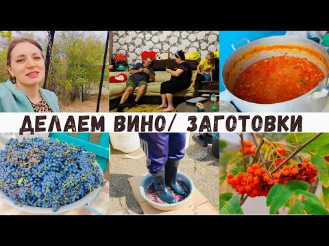 Видео: Вот как делают вино в селе 👍Дедушка поёт 🤣 Старая кухня/ Родители меня жалеют ❤️ Заготовки на зиму 🍅