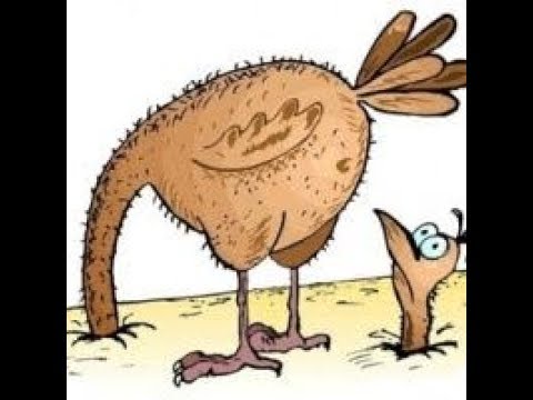 Видео: Причины трусости