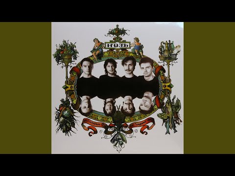 Видео: Человек и кошка