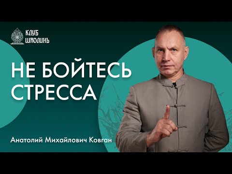 Видео: Что такое стресс? А.М.Ковган