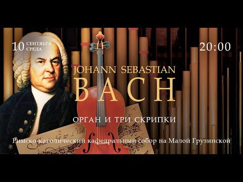 Видео: И. С. Бах. Орган и три скрипки – прямой эфир концерта в Соборе