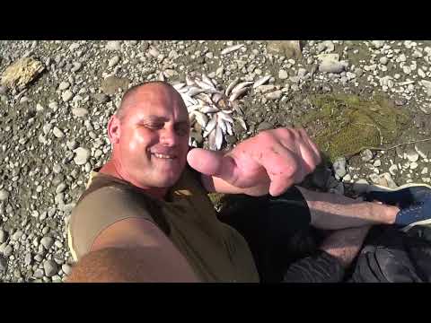 Видео: Рыбалка кастинговой сетью на высохшей реке.Поймал много рыбы