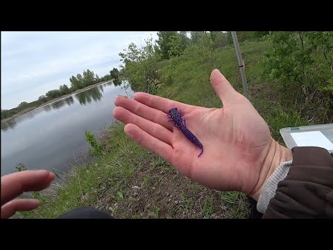 Видео: Приманка которая ловит щук и окуней; рыбалка на карьерах в Хакасии!!!