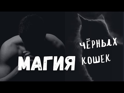 Видео: Магия чёрных кошек.6 причин, почему нужен чёрный кот.Советы эзотериков.