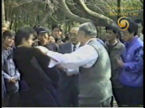 Видео: Мастер Ши Мин (石明老师) — Часть II. Туйшоу (парк Лилового Бамбука)