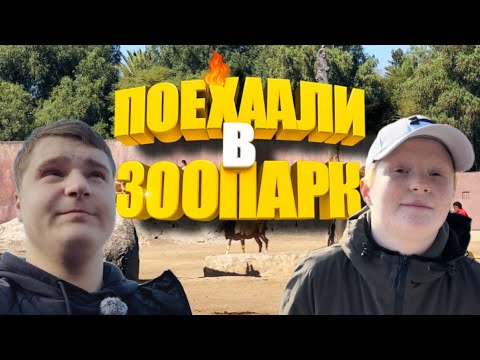 Видео: ПОЕХАЛИ В ЗООПАРК!! Поехали в зоопарк, посмотреть на животных!