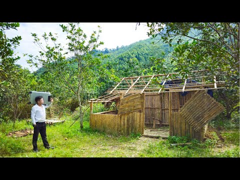 Видео: CEO: Возвращение в старый дом спустя 12 лет, построение жизни с нуля, возвращение из Японии