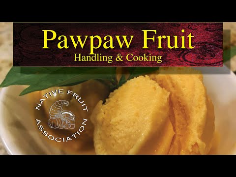 Видео: Фрукты папайи • Обработка и приготовление