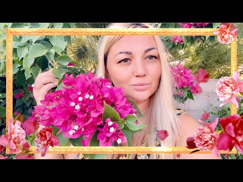 Видео: ВЫСЕЛЯЕМ ИЗ ДОМА/ ИЗБАВИЛИСЬ ОТ ДЕНЕГ/ ПОЛ ДНЯ ПРОВЕЛИ НА ФАБРИКЕ/ НАСЫЩЕННЫЙ ДЕНЕК