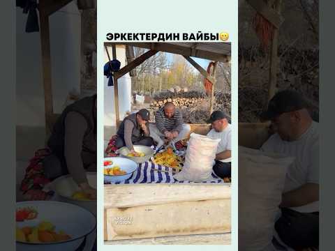 Видео: Эркектер сабиз туура жатышат💪 #комуз #automobile #кыргызкызы #ырчы #rek #ырдапжаша #кыргызкино