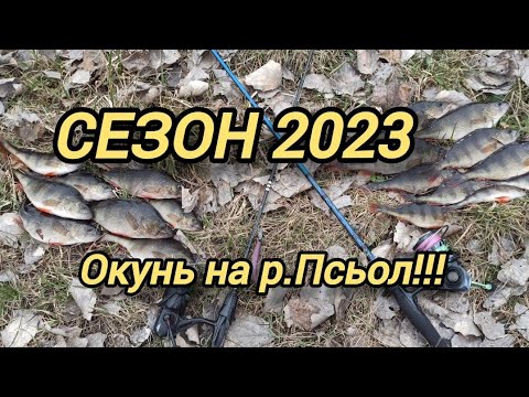 Видео: ВІДКРИВ СЕЗОН 2023!!! ЛОВЛЯ ОКУНЯ НА Р. ПСЬОЛ!!!