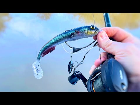 Видео: Как поймать щуку на приманку в цветной воде