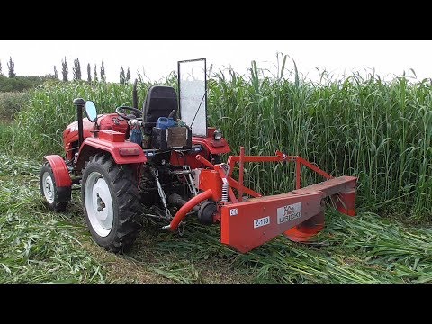 Видео: второй укос Суданки ! Роторная КОСА и Трактор DW/Sudanese second mowing! Rotary Scythe and Tractor