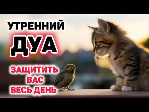 Видео: УТРЕННИЙ ДУА أذكار الصباح ЗАЩИТИТЬ ВАС ВЕСЬ ДЕНЬ | СЛУШАЙТЕ КАЖДОЕ УТРО!