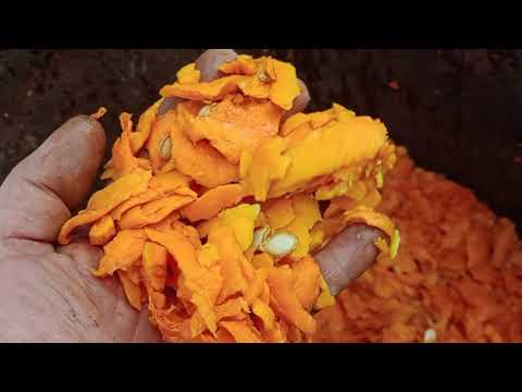 Видео: корморезка