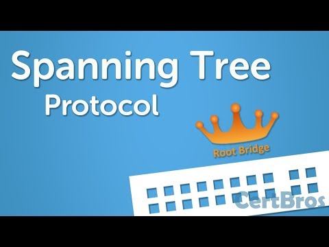 Видео: Объяснение протокола Spanning Tree | Шаг за шагом