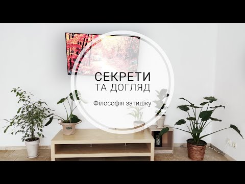 Видео: Моя колекція кімнатних рослин😍🪴