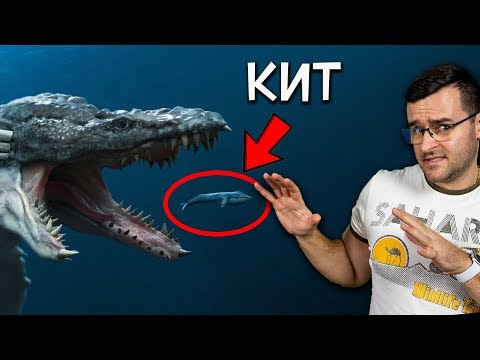 Видео: 50 Невероятни Факта за ОКЕАНИТЕ, които ще ви СМАЯТ!