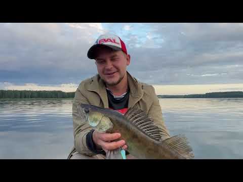 Видео: Рыбалка на Волге. Город Калязин. Июль 2021