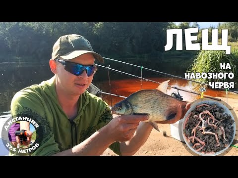 Видео: ЖИРНЫЙ ЧЕРВЬ - УСПЕХ В ЛОВЛЕ ЛЕЩА